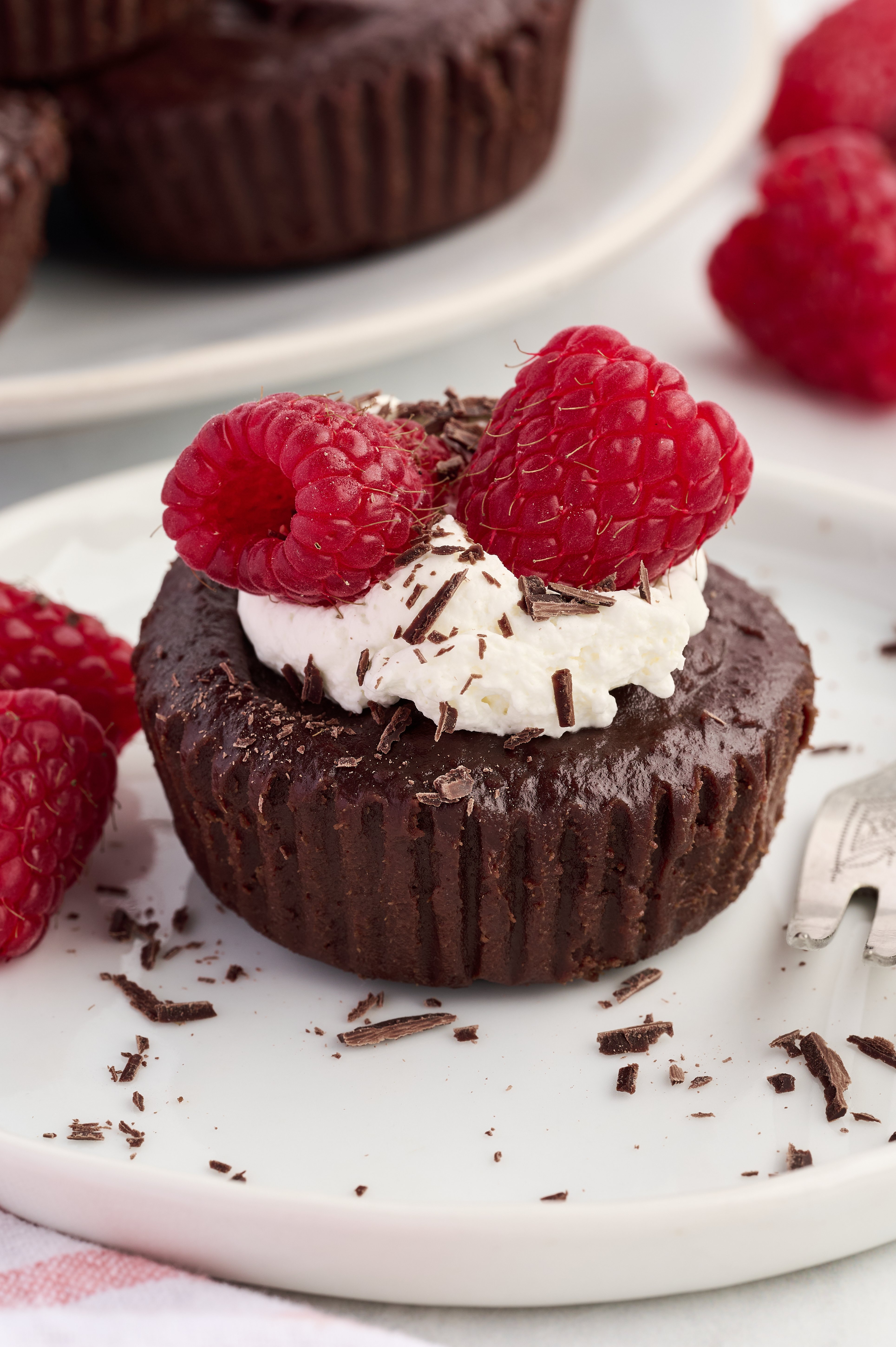 2-IngredientChocFudgeCakes_10.jpg