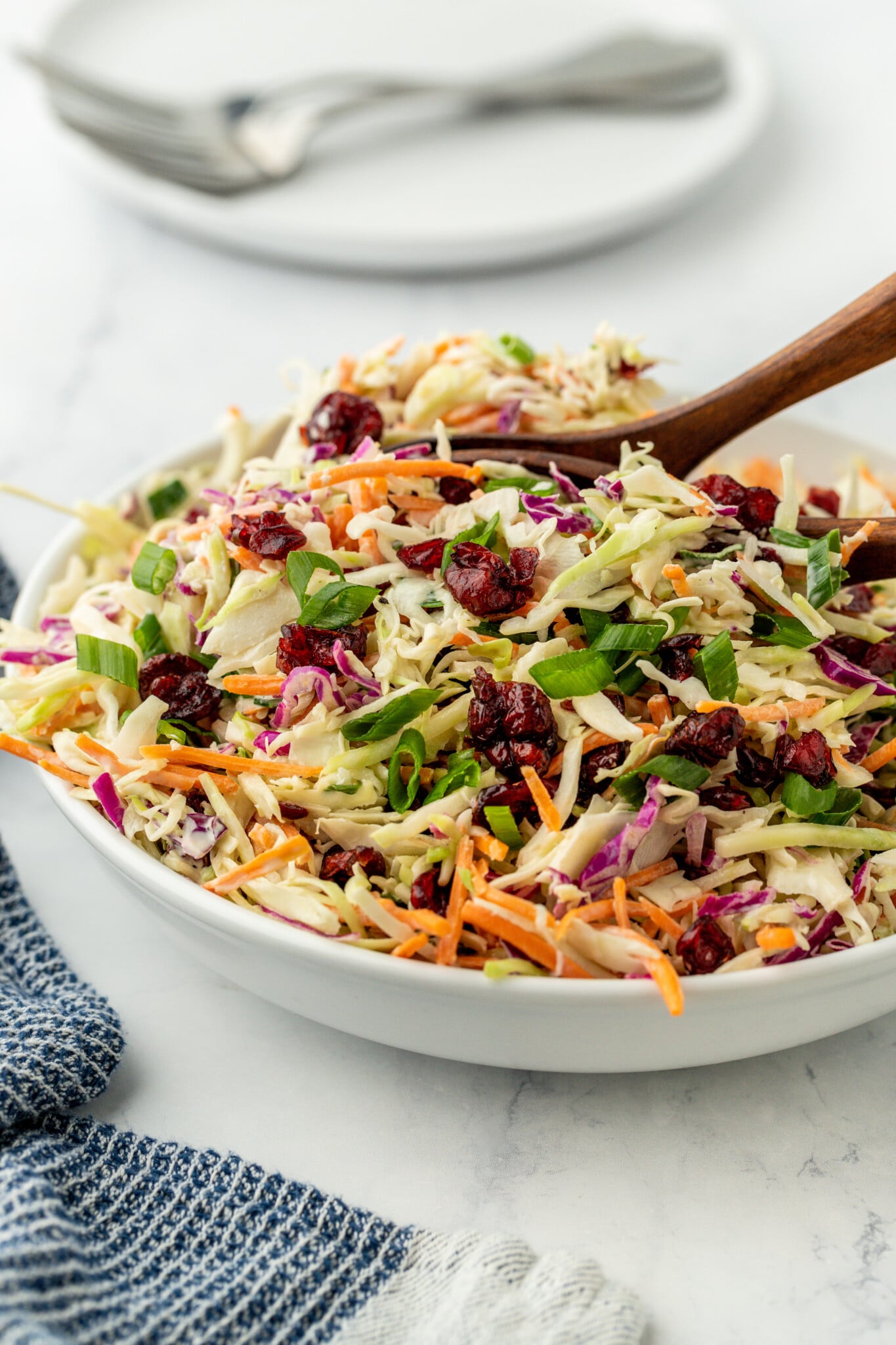 Creamy coleslaw with shredded green cabbage carrot apple cider mayo dressing for 4th of July potluck BBQ side