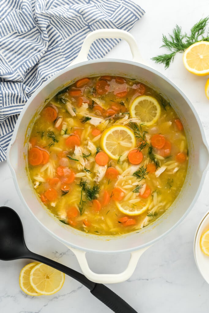 Easy Lemon Chicken Soup with Orzo (No Cream!) - Joy Bauer