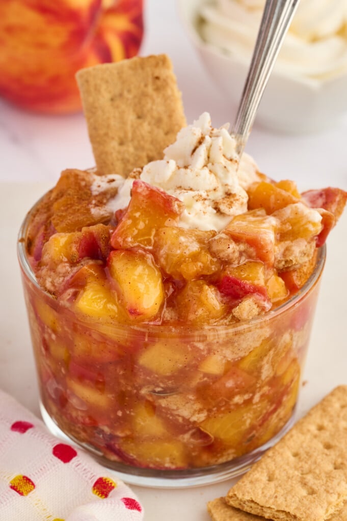 A glass filled with Easy 5-Minute Peach Cobbler, topped with whipped cream, a sprinkle of cinnamon, and a graham cracker. A spoon is inserted in the dessert. A bowl of whipped cream and a peach are in the blurred background.